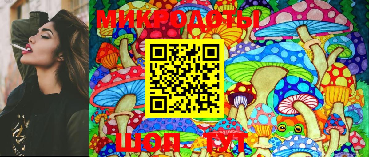 Галлюциногенные грибы Psilocybine cubensis  Галлюциногенные грибы Psilocybe  где найти   Россошь  Вход с VPN 