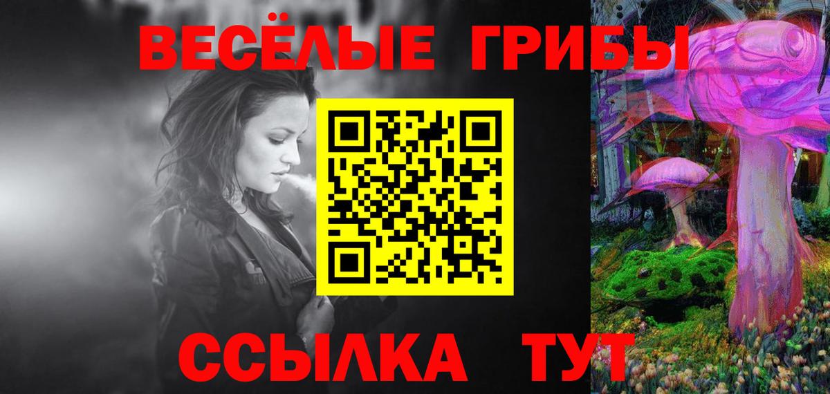 Галлюциногенные грибы Psilocybine cubensis Россошь